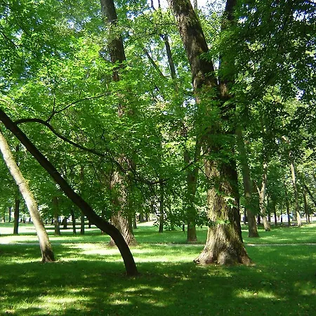 Domminsk On Karla Marksa *